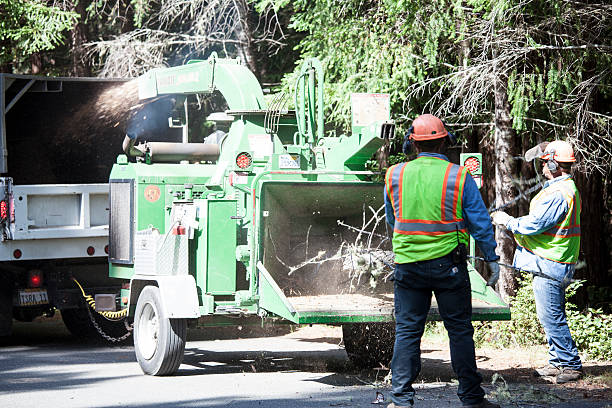 Best Utility Line Clearance  in Southern Shops, SC